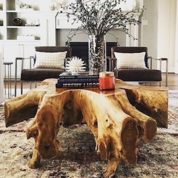 Table Basse en Racine de Teck Massif