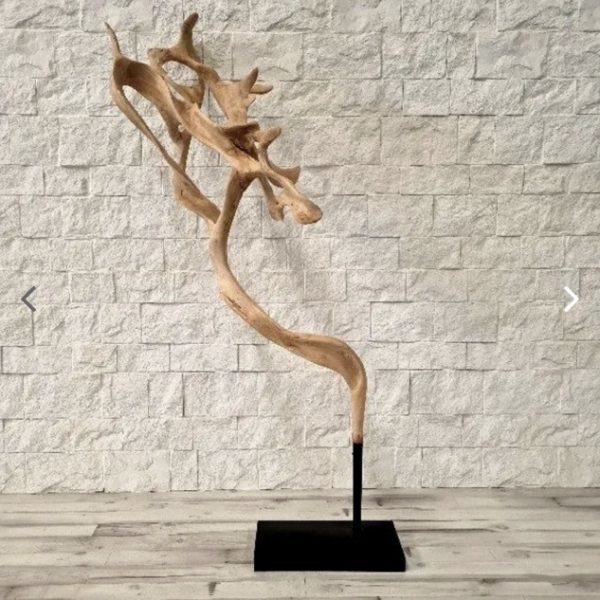 Sculpture Design Racine Teck SDRT00011