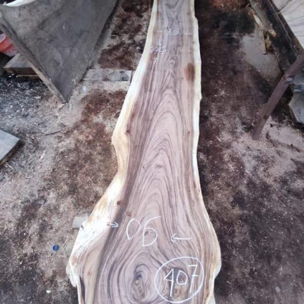 Table Suar 407