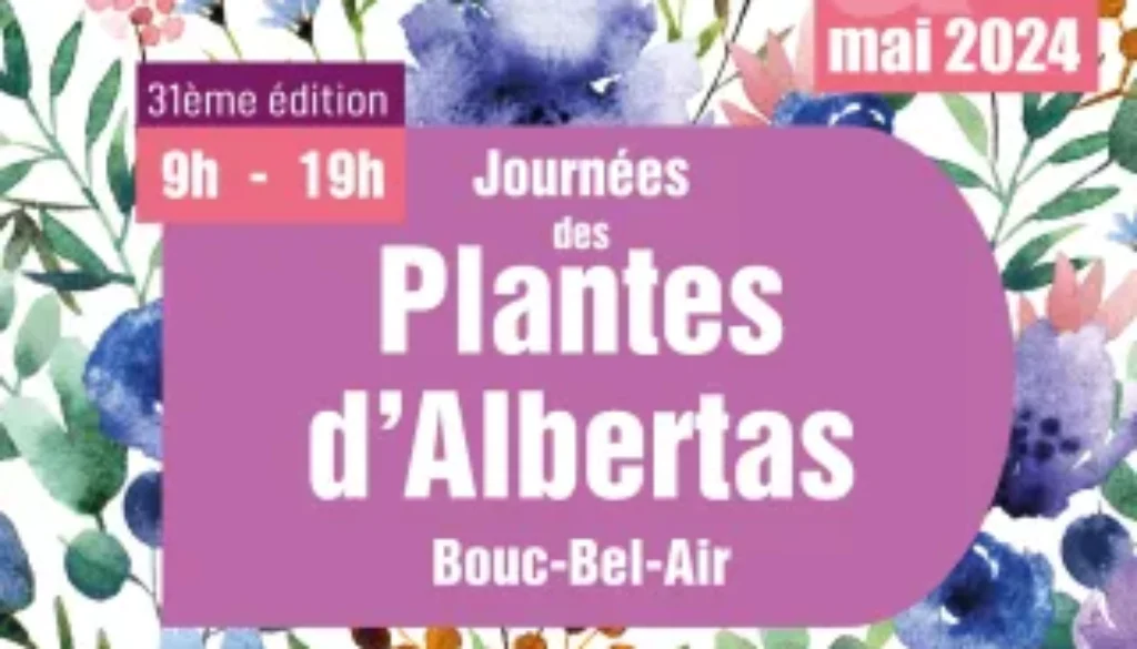 0 80008800 1705679674 280752 320 0