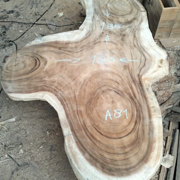 A81
