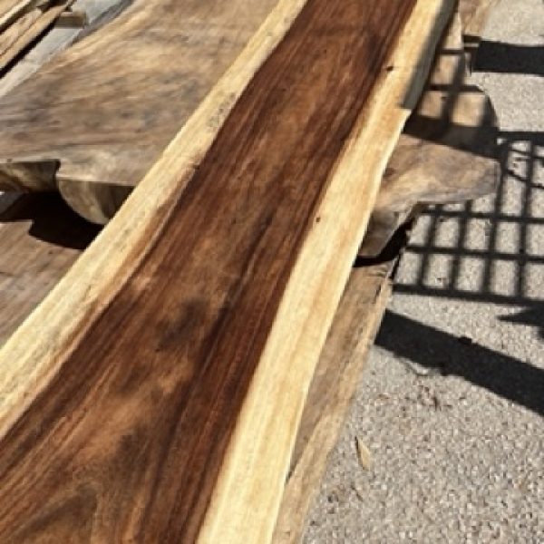 Banc en Suar 2 Moyenne