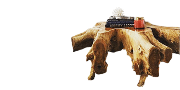 Mobilier / Déco Racine Teck