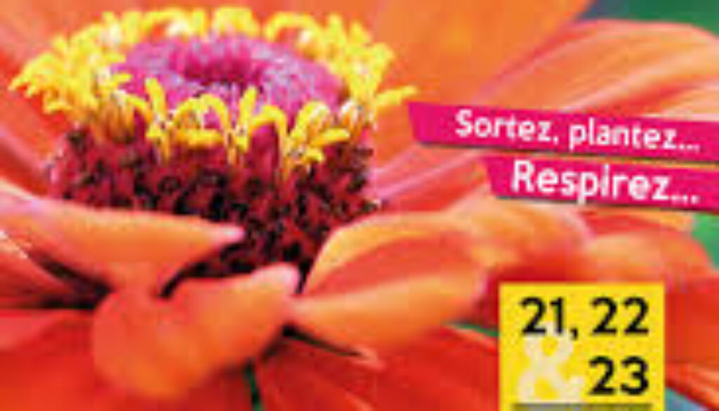 Les journées d'Albertas 2021